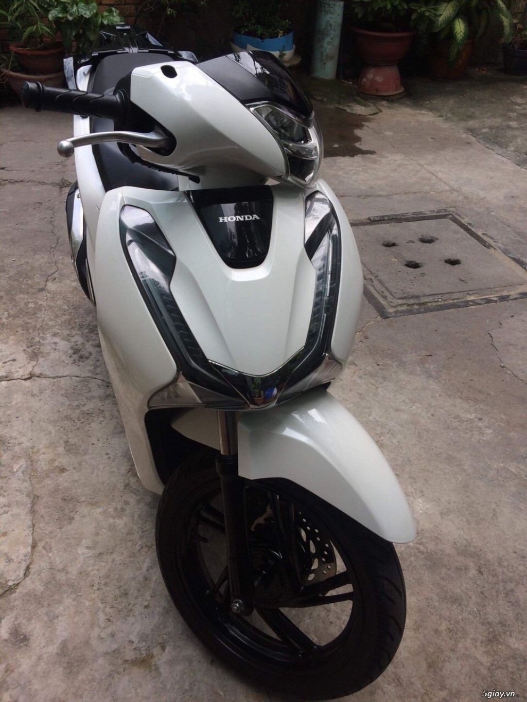 Shvn 150 CBS Sporty Phiên bản Quang Phương - 3