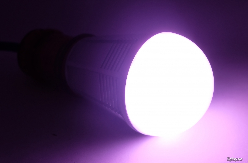 Thanh lý bóng đèn LED thông minh chất lượng cao - 7