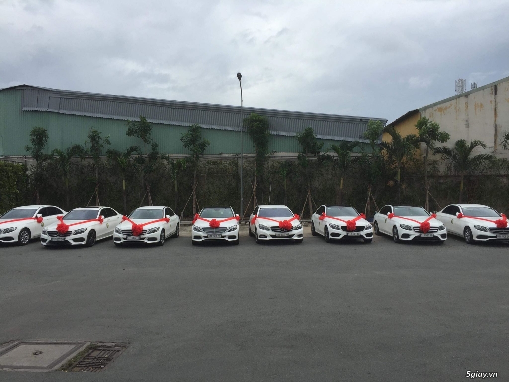 Chuyên cho thuê xe hoa, xe rước dâu Mercedes BMW Audi Camry giá tốt - 13