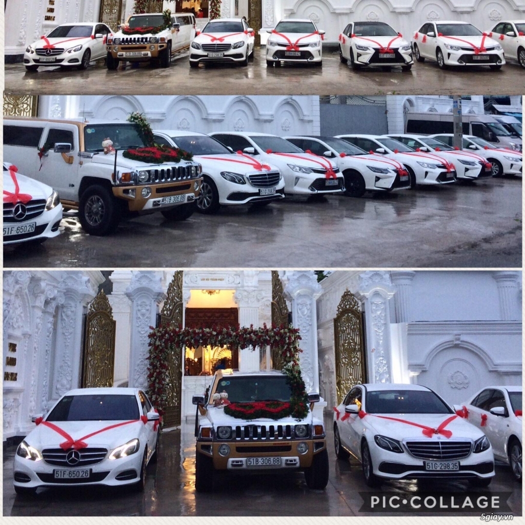 Chuyên cho thuê xe hoa, xe rước dâu Mercedes BMW Audi Camry giá tốt - 7