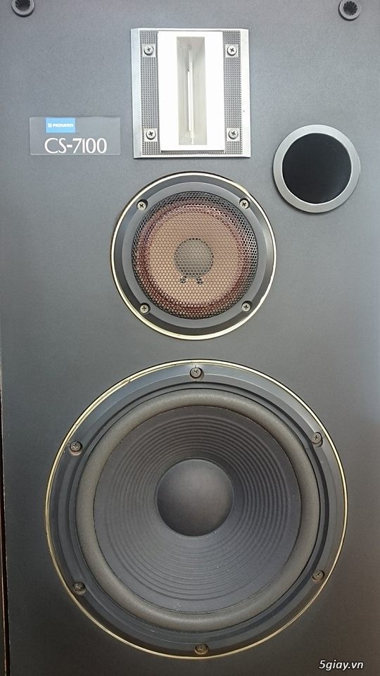 pioneer cs 7100 speakers