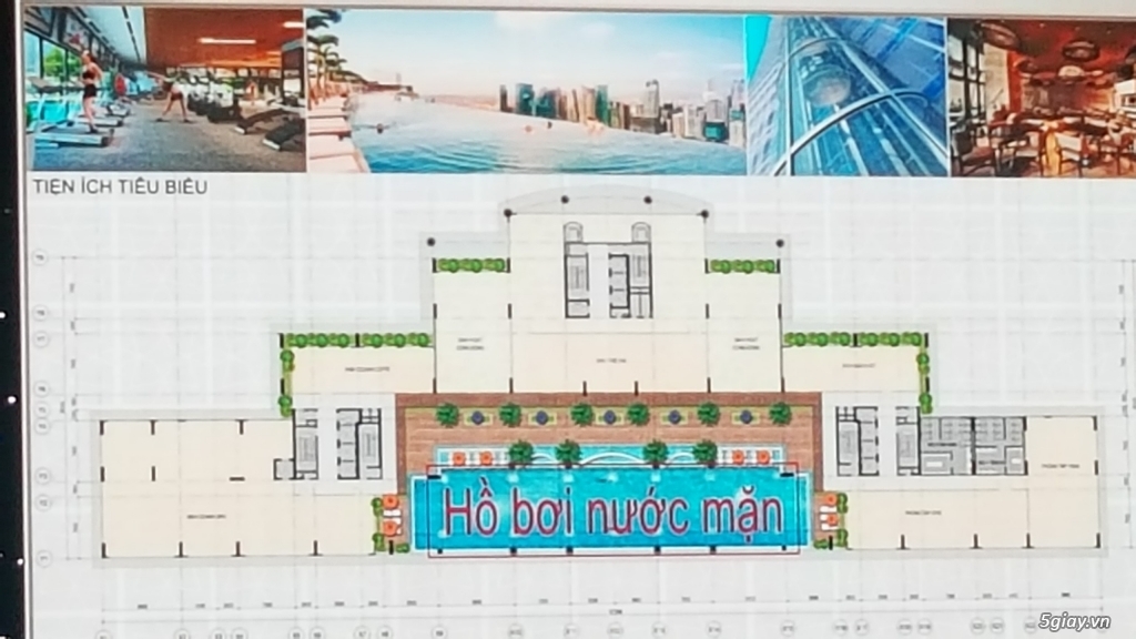 Căn hộ cao cấp quận 2, rome diamond lotus nhận booking đợt 1 - 2