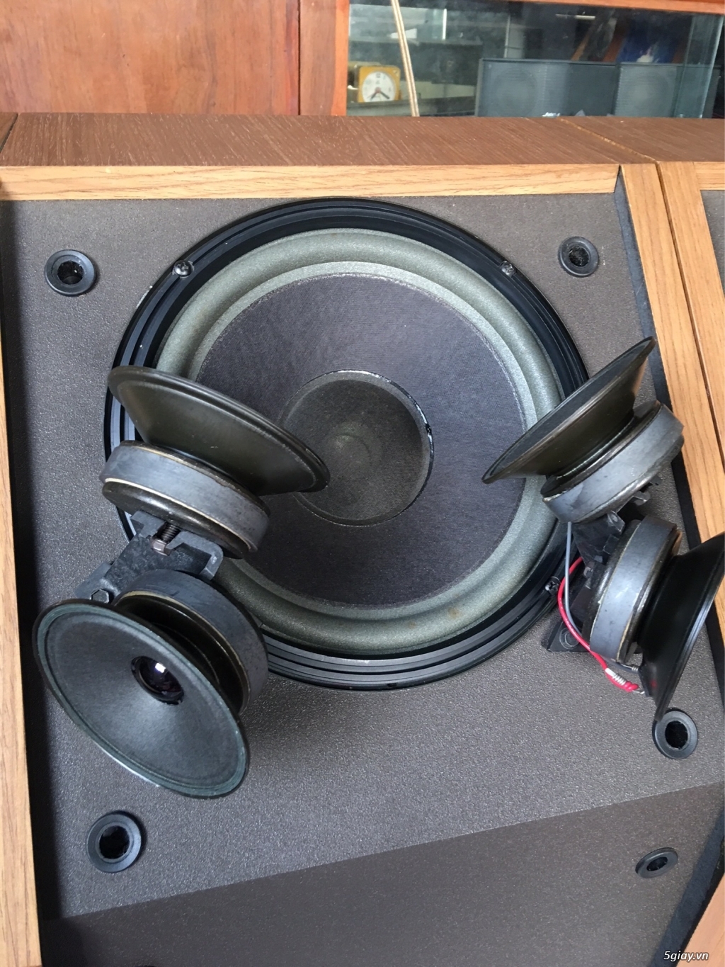 Loa Bose 601 series iii - 7