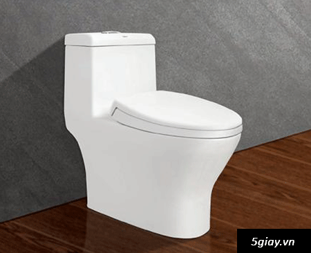 Bồn cầu viglacera V45 sự lựa chon  lý tưởng  !