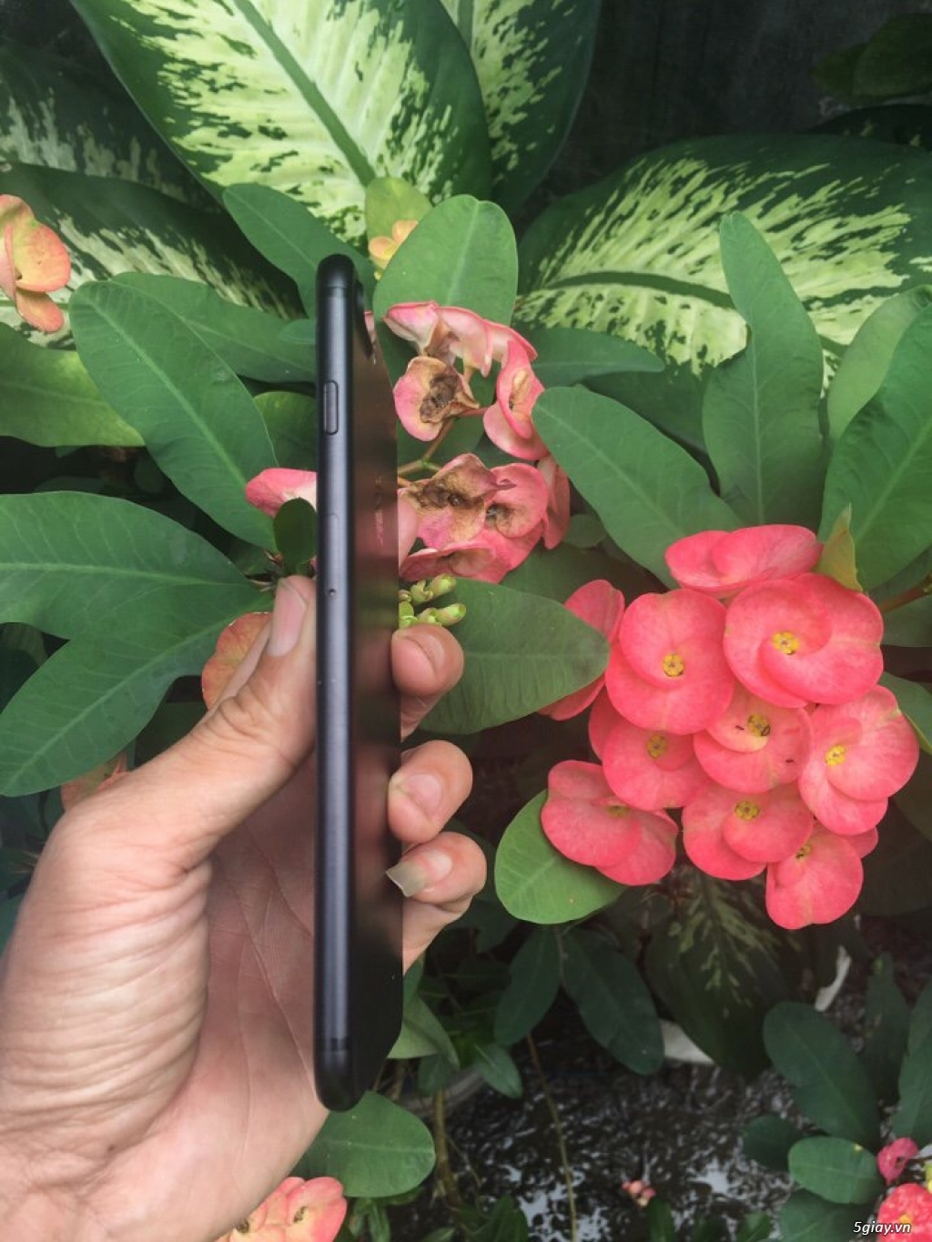 iphone 7 plus 128gb den nham quoc te - 2