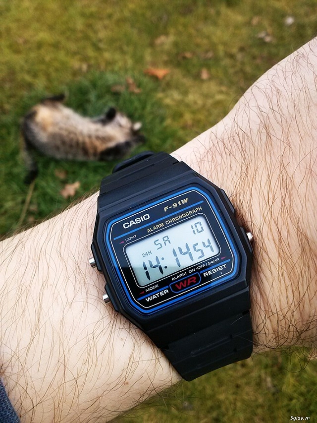 casio f91 obama