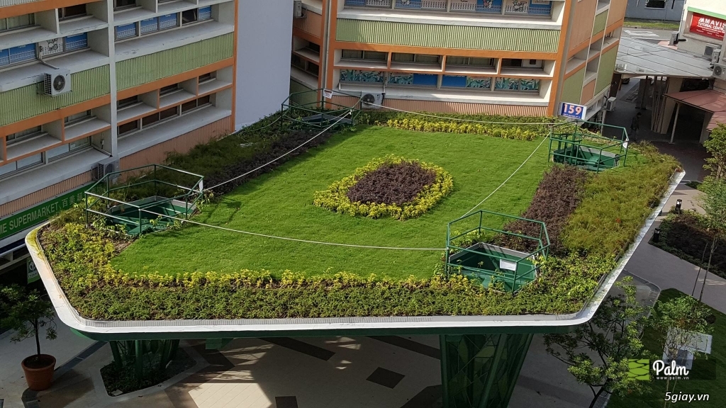 Vỉ thoát nước Plantercell 30 - 4