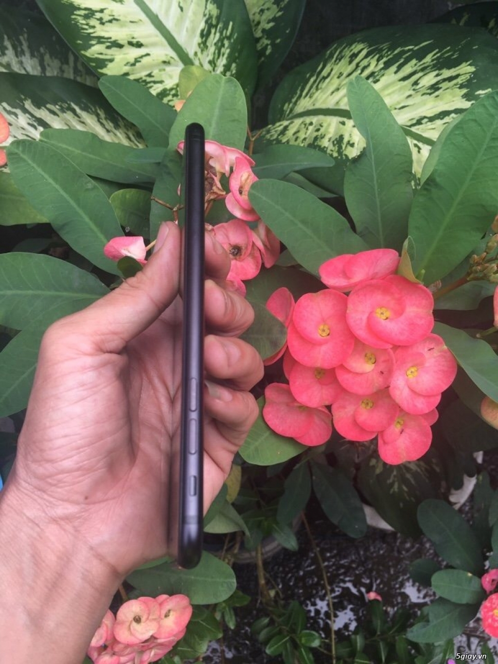 iphone 7 plus 128gb đen nham qte may zin 100% - 1