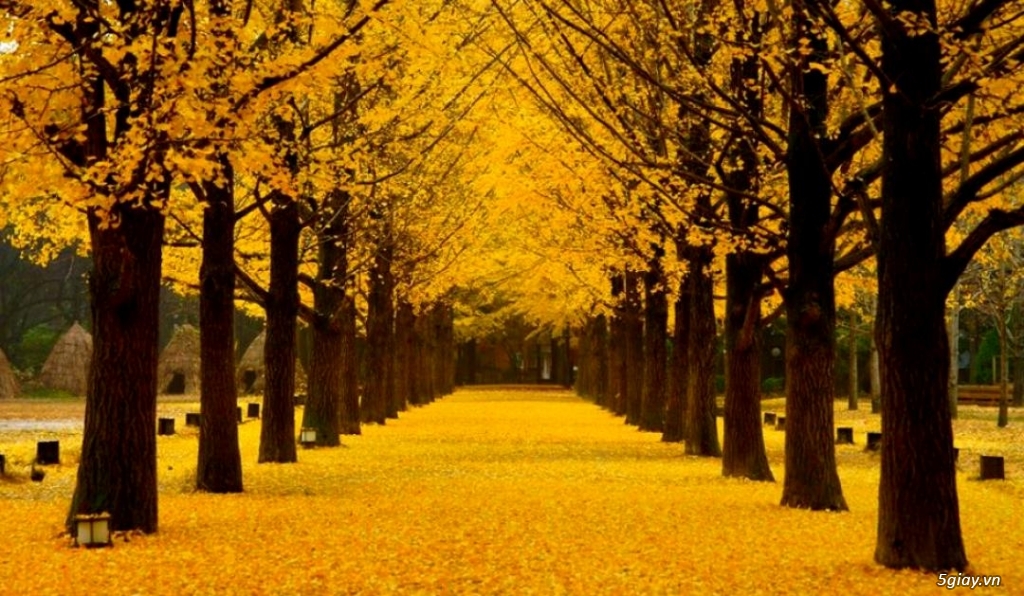 Tour Hàn siêu KM- chỉ 12tr7 trọn gói