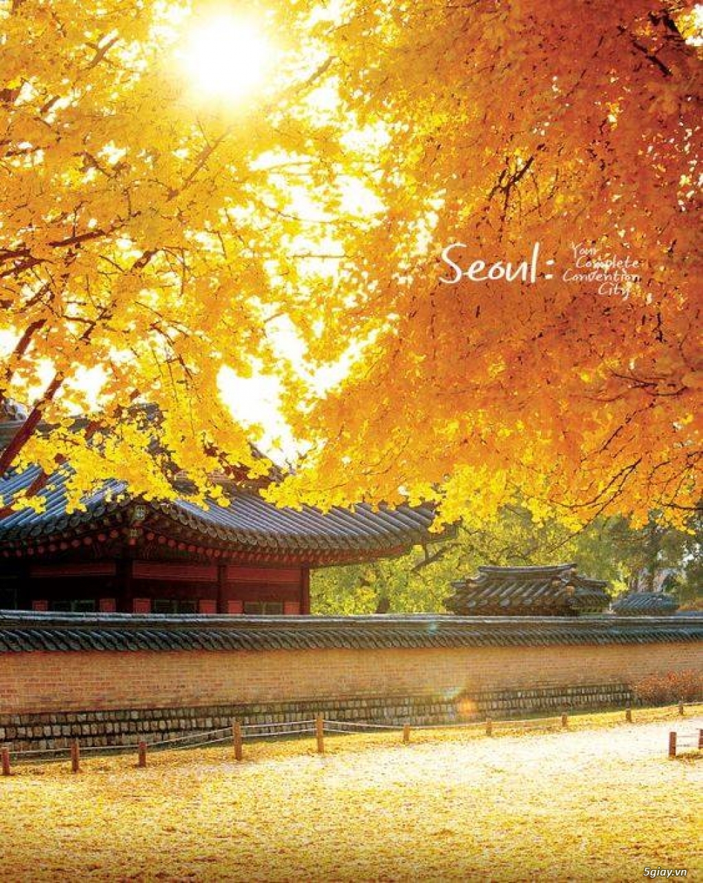 BankTour: Khám phá đất nước lãng mạn bậc nhất - Hàn Quốc - 9