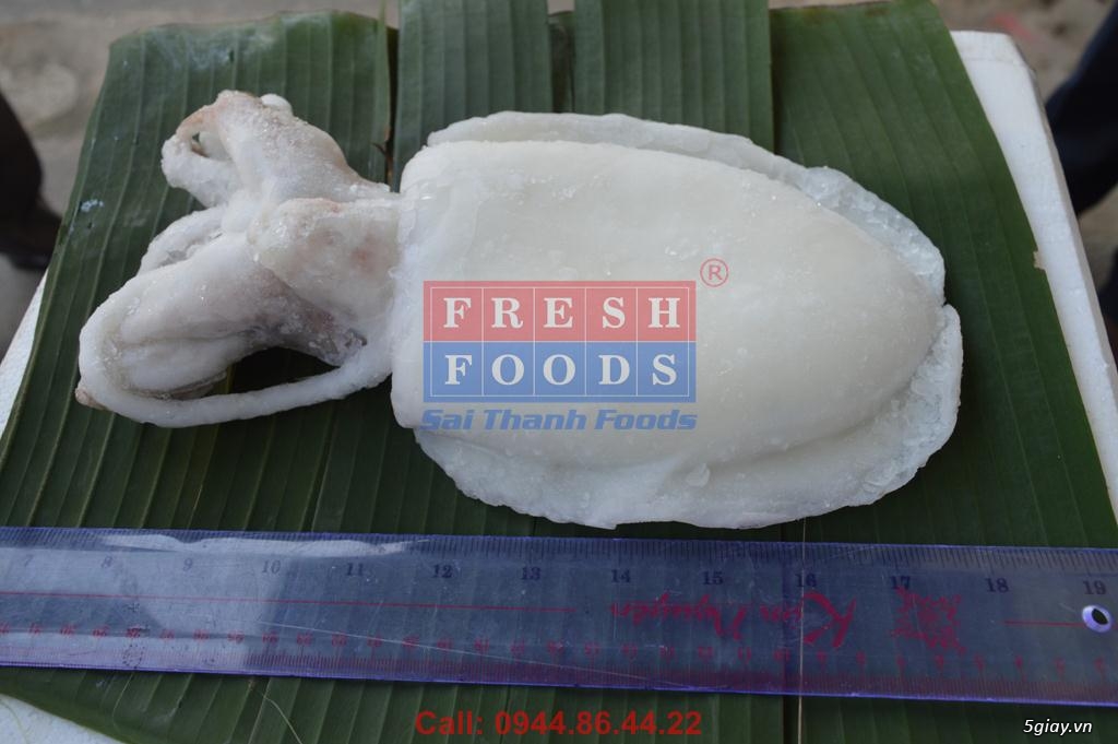 Phân phối Mực Nang làm sạch số lượng lớn tại kho - 6