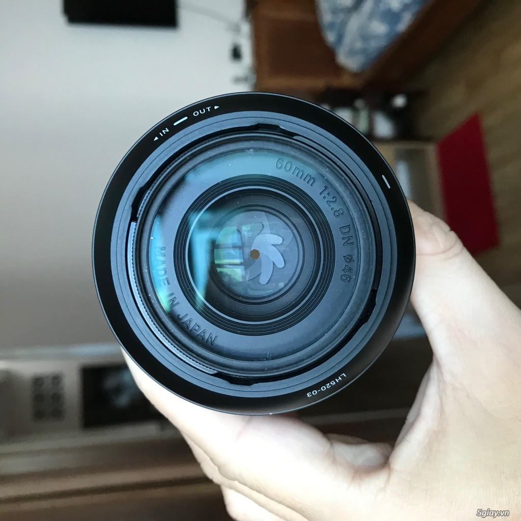 Lens Crop Sony ( Sigma +  Carl zeiss) - 1