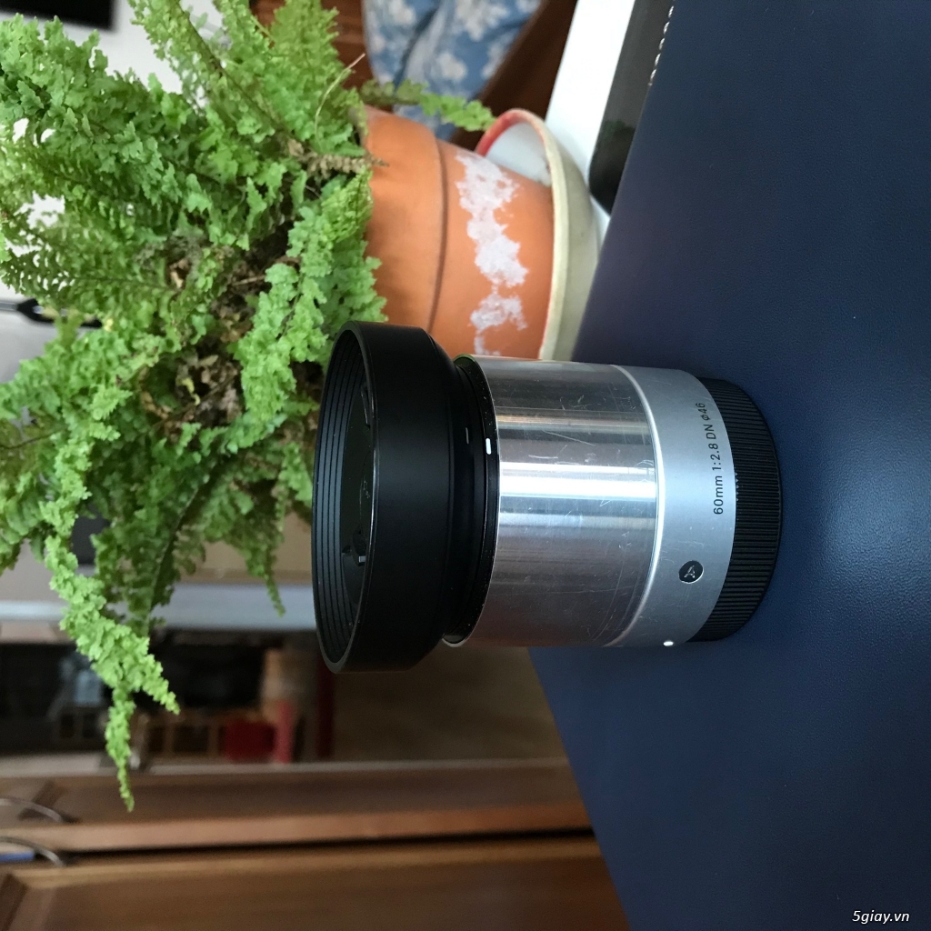 Lens Crop Sony ( Sigma +  Carl zeiss) - 4