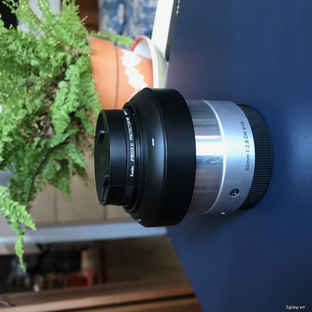 Lens Crop Sony ( Sigma +  Carl zeiss) - 3