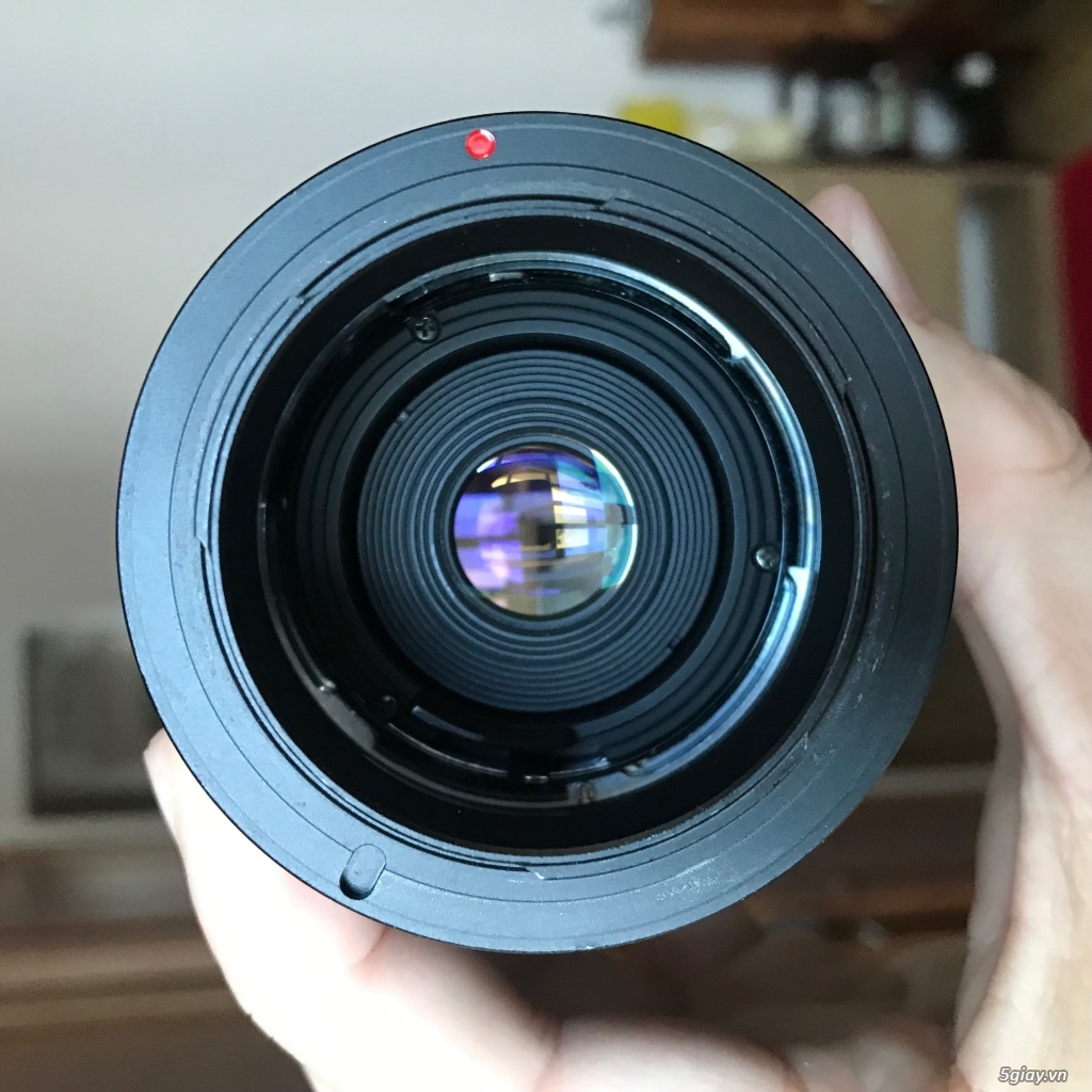 Lens Crop Sony ( Sigma +  Carl zeiss) - 6