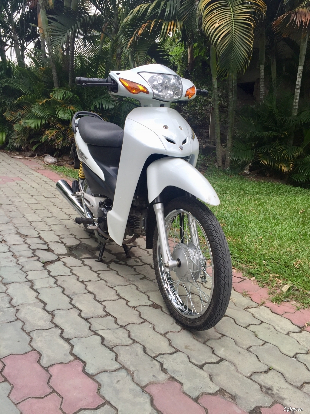 Bán Wave A 2016 BSTP 9 Chủ Nice zin Bô S Thái - 3