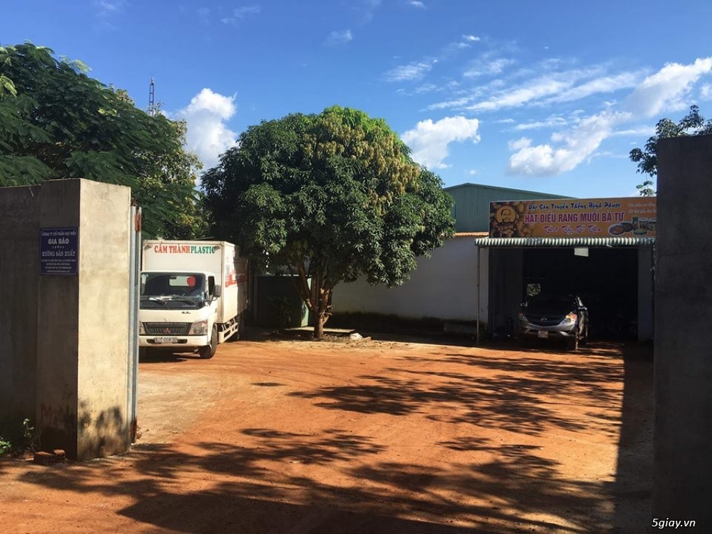 HẠT ĐIỀU RANG MUỐI THƯƠNG HIỆU  BÀ TƯ BÌNH PHƯỚC - 5