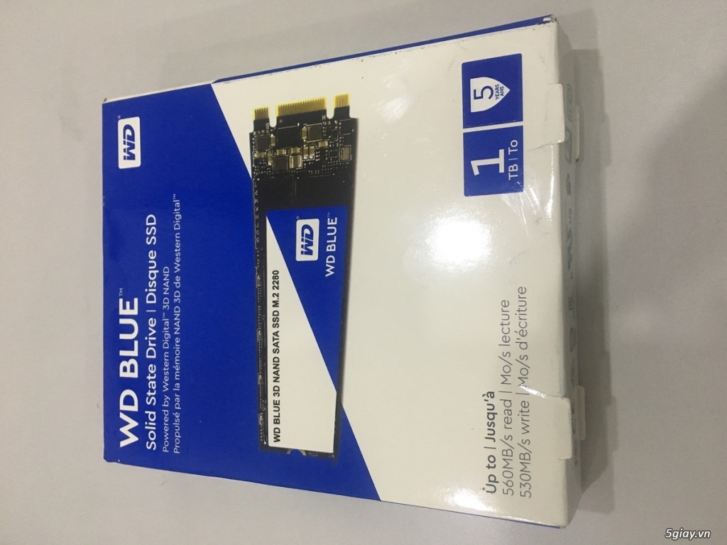 SSD WD Blue 1TB M.2 SATA giá rẻ nhất