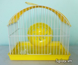 Bán chuột hamster, thỏ bọ, nhím giá rẻ nhất bình dương - 10