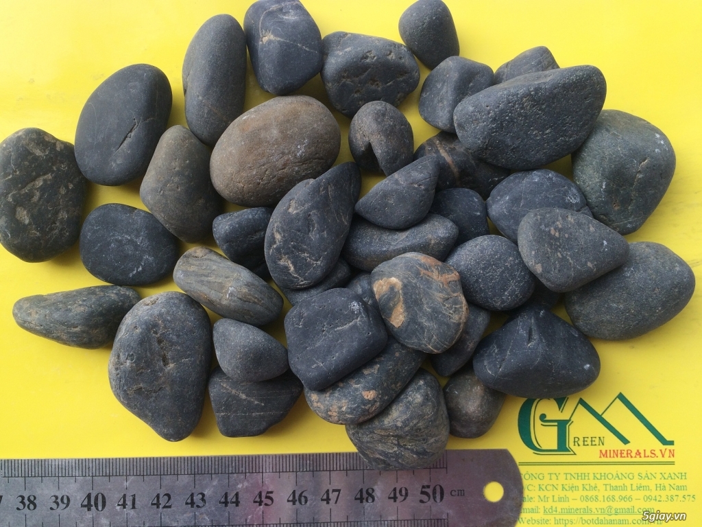 sỏi - 4