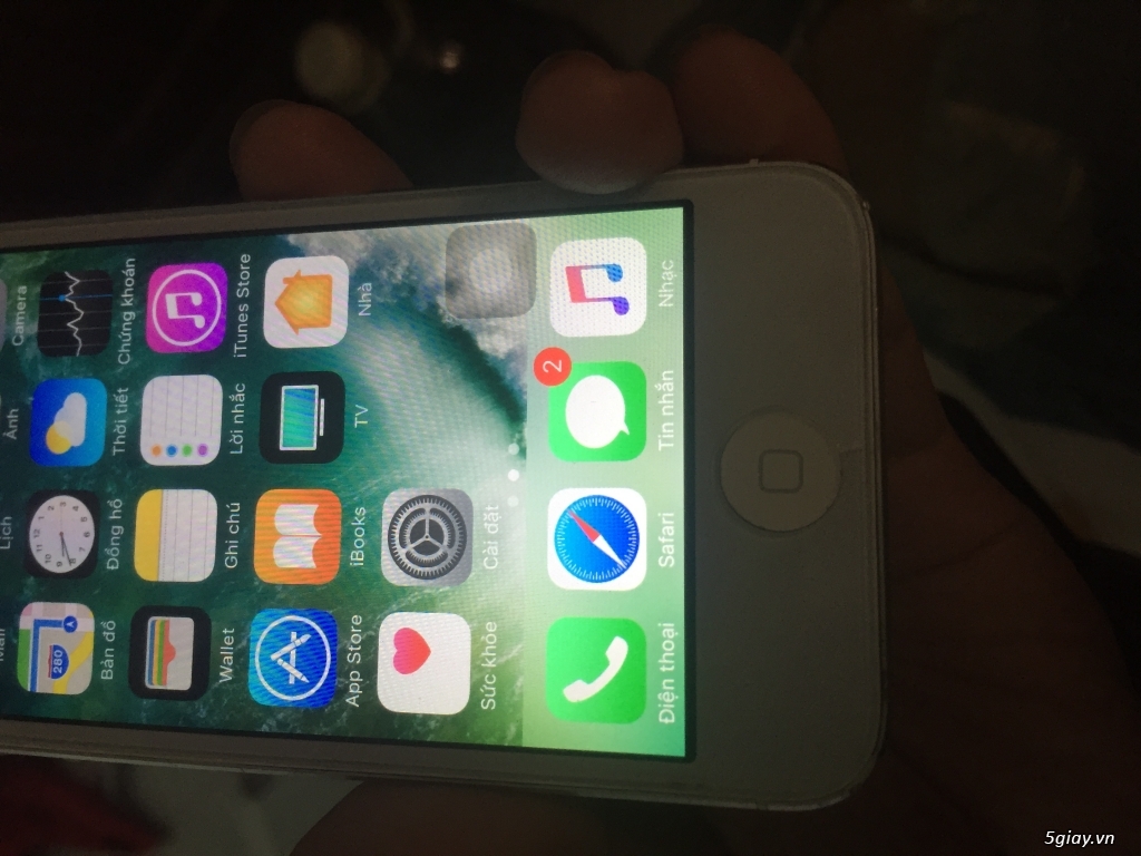 Ip5 16 Quốc tế 97% - 4