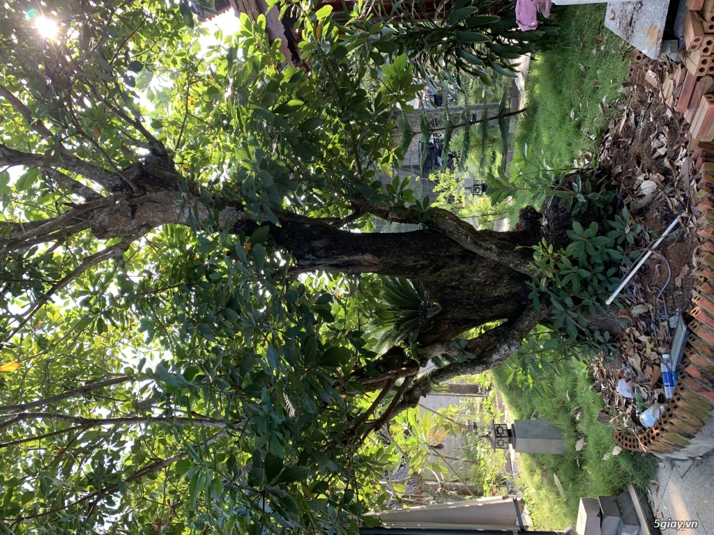 Cần anh em giúp đỡ định giá dùm mình - 4