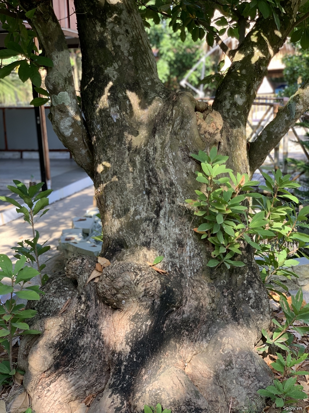 Cần anh em giúp đỡ định giá dùm mình