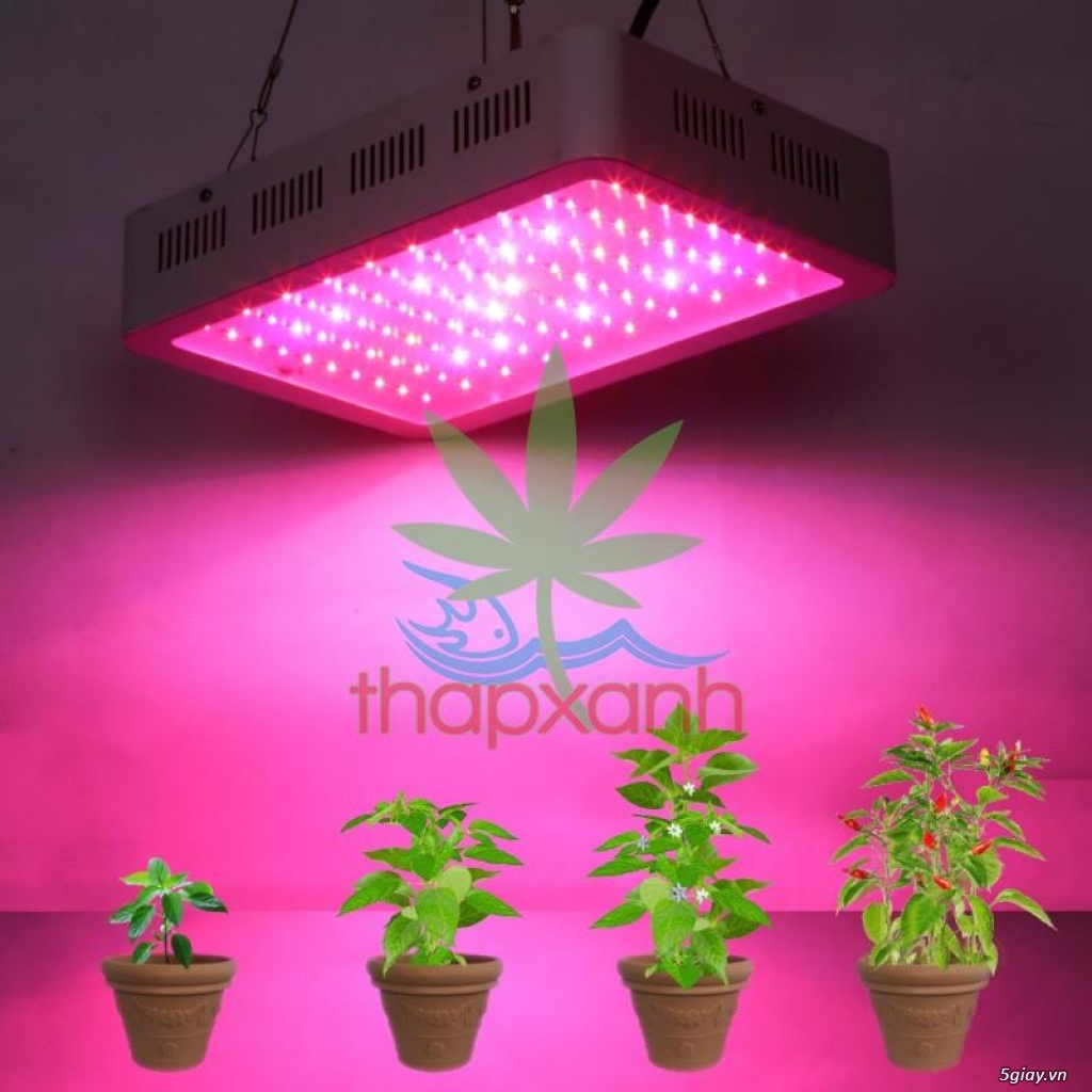 Led trồng cây REC (300W) - 2