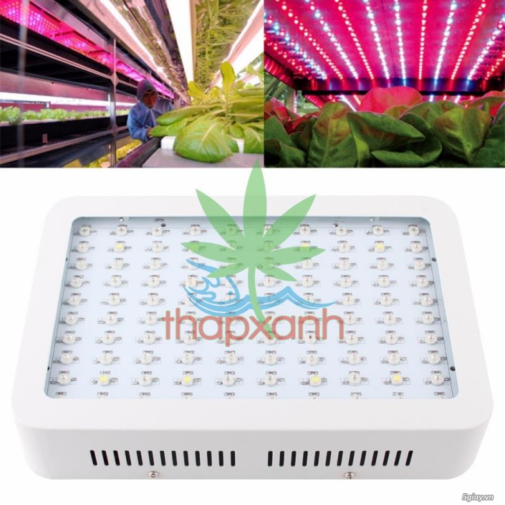 Led trồng cây REC (300W)