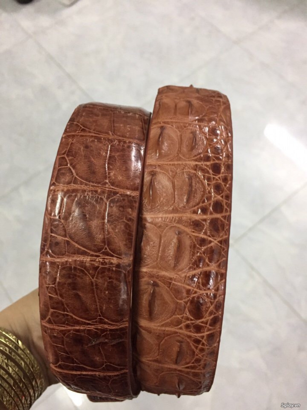 Thời trang da cá sấu