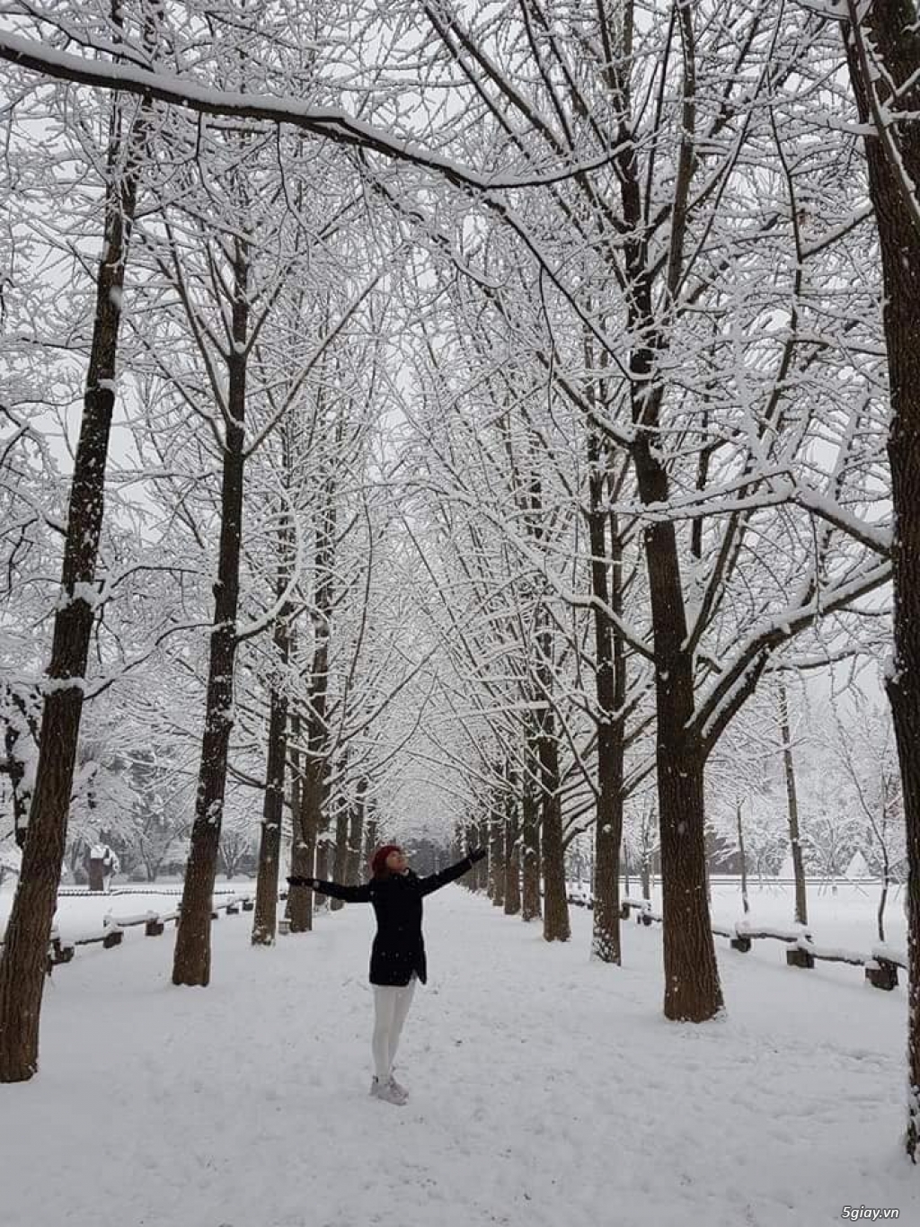 Tour Hàn Quốc- Dạo chơi dưới khung trời tuyết trắng.
