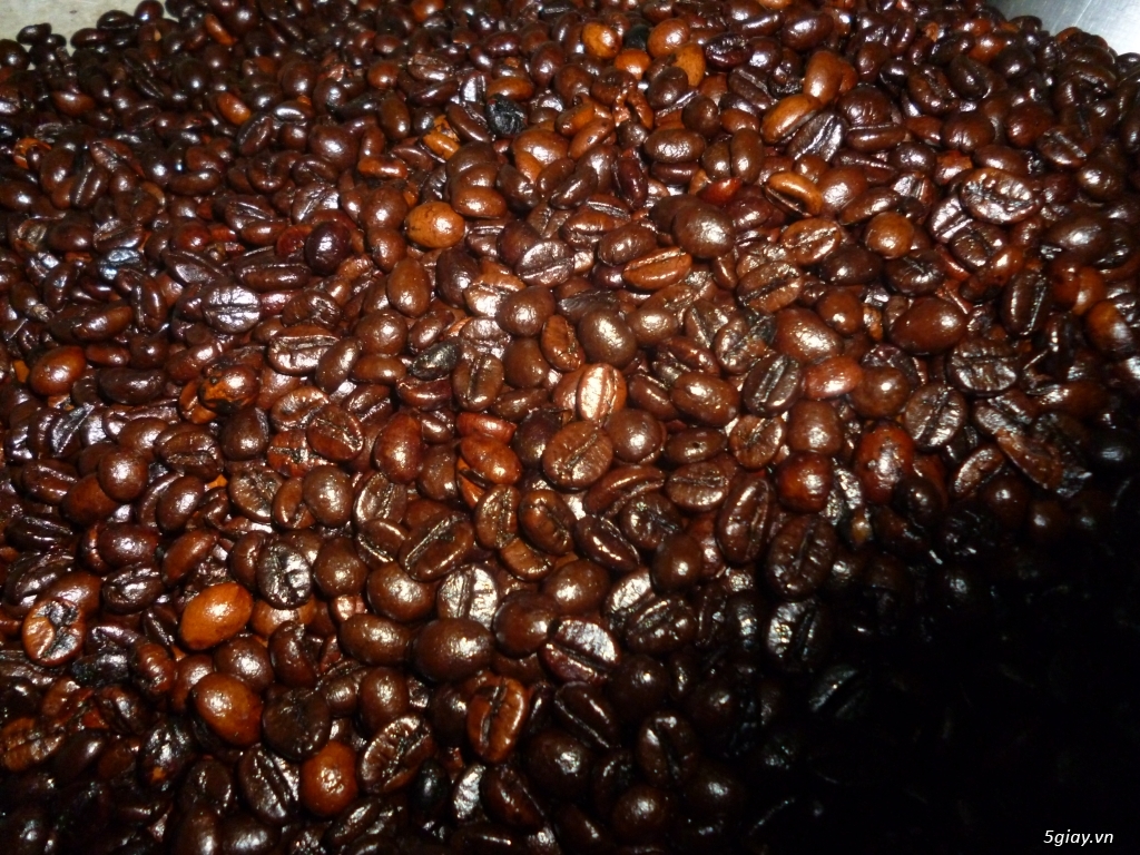 TP.HCM - Chuyên cung cấp cà phê sạch - Giá tốt nhất chỉ từ 80K/1kg