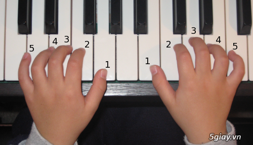 Khóa học piano cơ bản, Khóa học chơi đàn Piano nâng cao chất lượng và hiệu quả