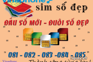 Bán Sim 0812345891