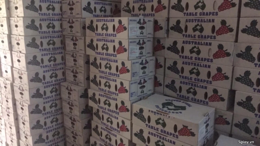 Chuyên sỉ nho khô nguyên cành Úc giá rẻ nhất thị trường 1tr300 1thung - 4
