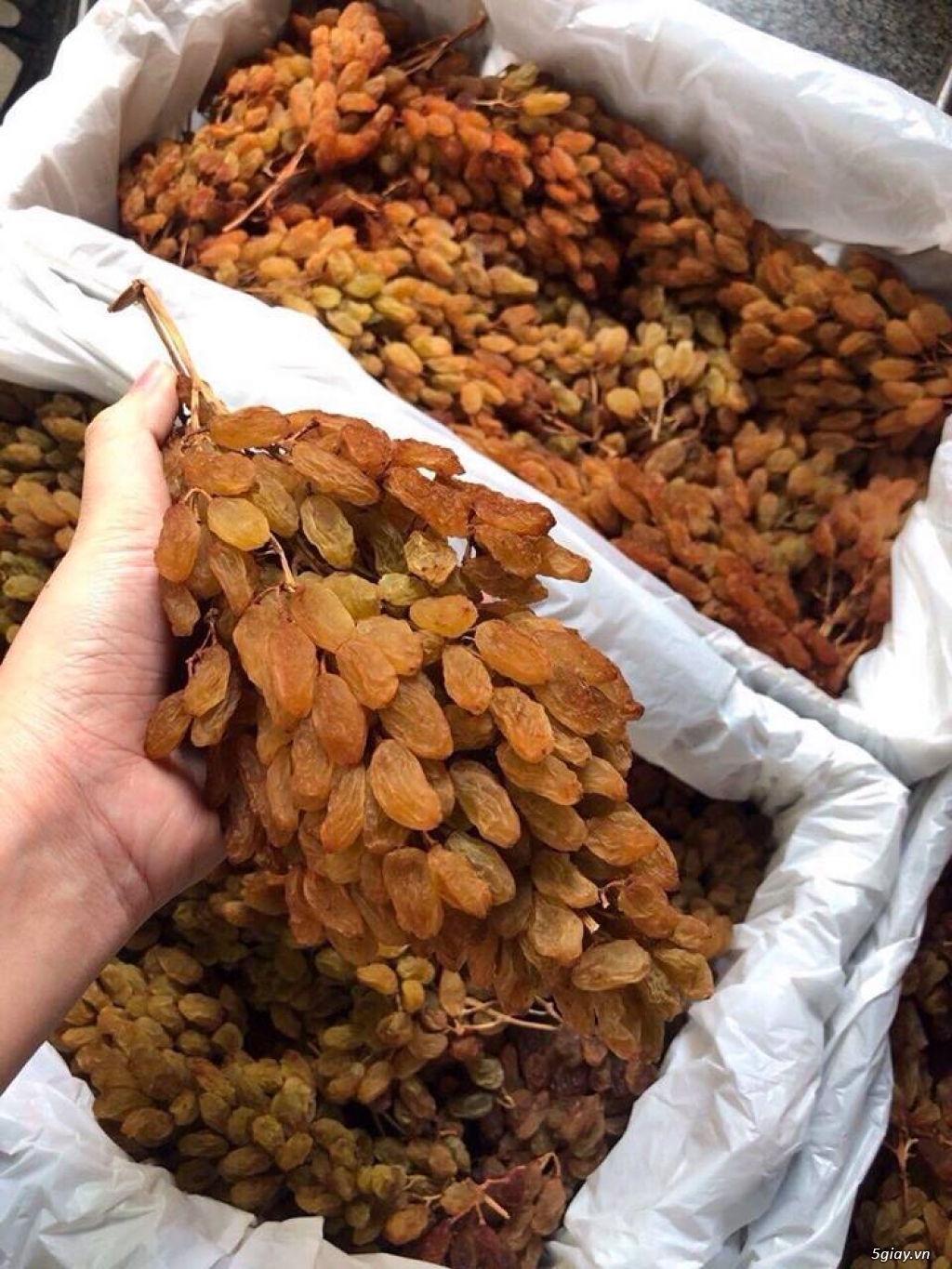 Chuyên sỉ nho khô nguyên cành Úc giá rẻ nhất thị trường 1tr300 1thung