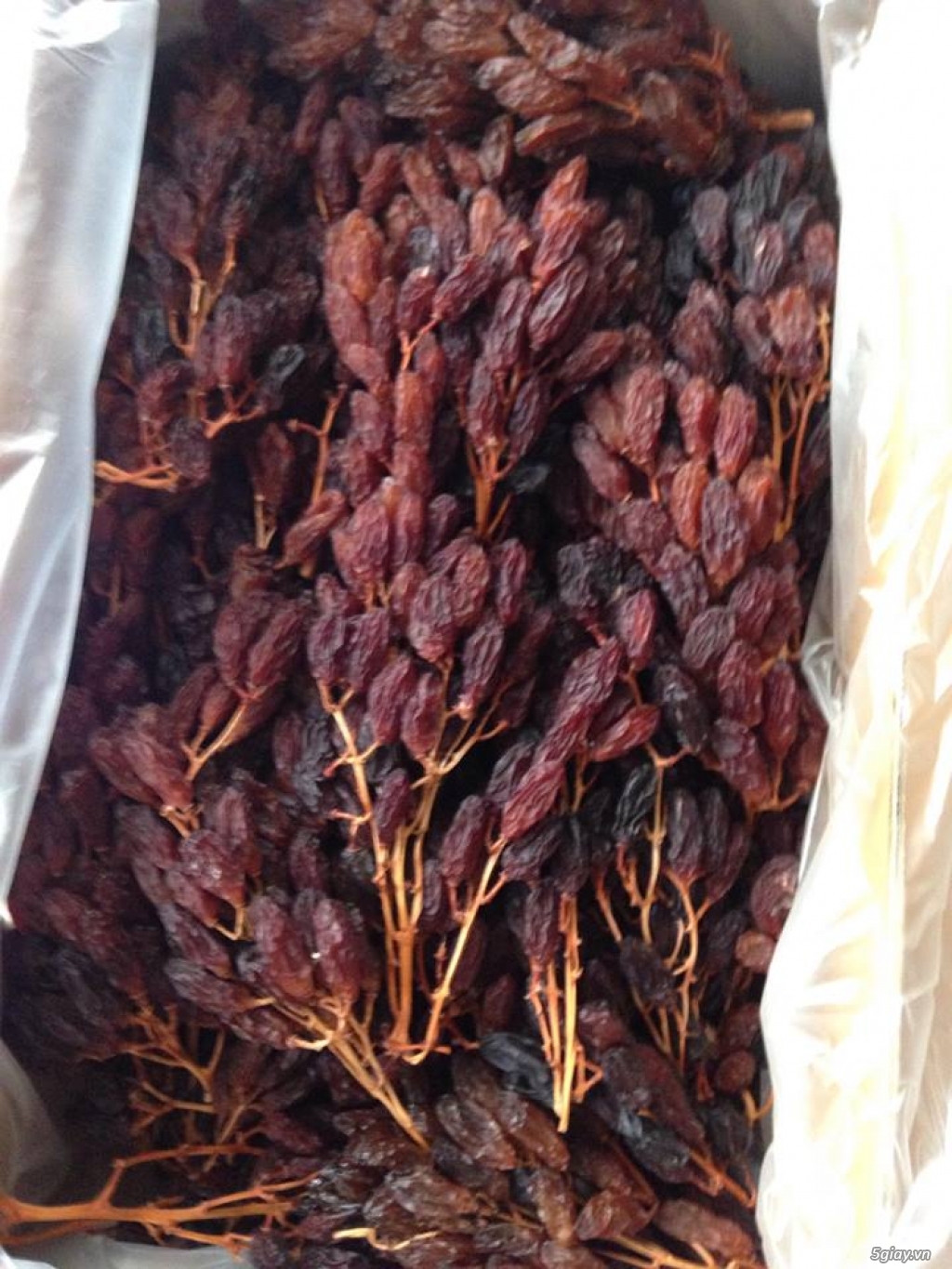 Chuyên sỉ nho khô nguyên cành Úc giá rẻ nhất thị trường 1tr300 1thung - 2