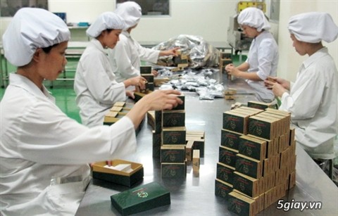 Tuyển nhân viên đóng gói, phụ kho, dán tem, sắp xếp hàng hóa - 8