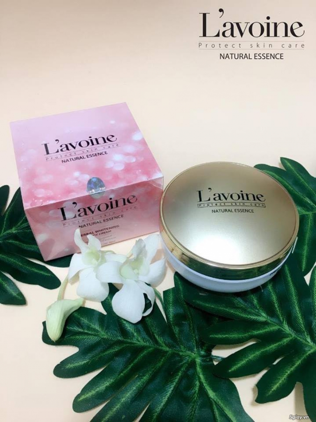 Sữa tắm YoungSkin - trị mụn lưng hiệu quả, dưỡng trắng sáng da - 3
