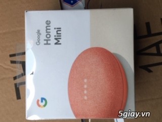 Google Home mini