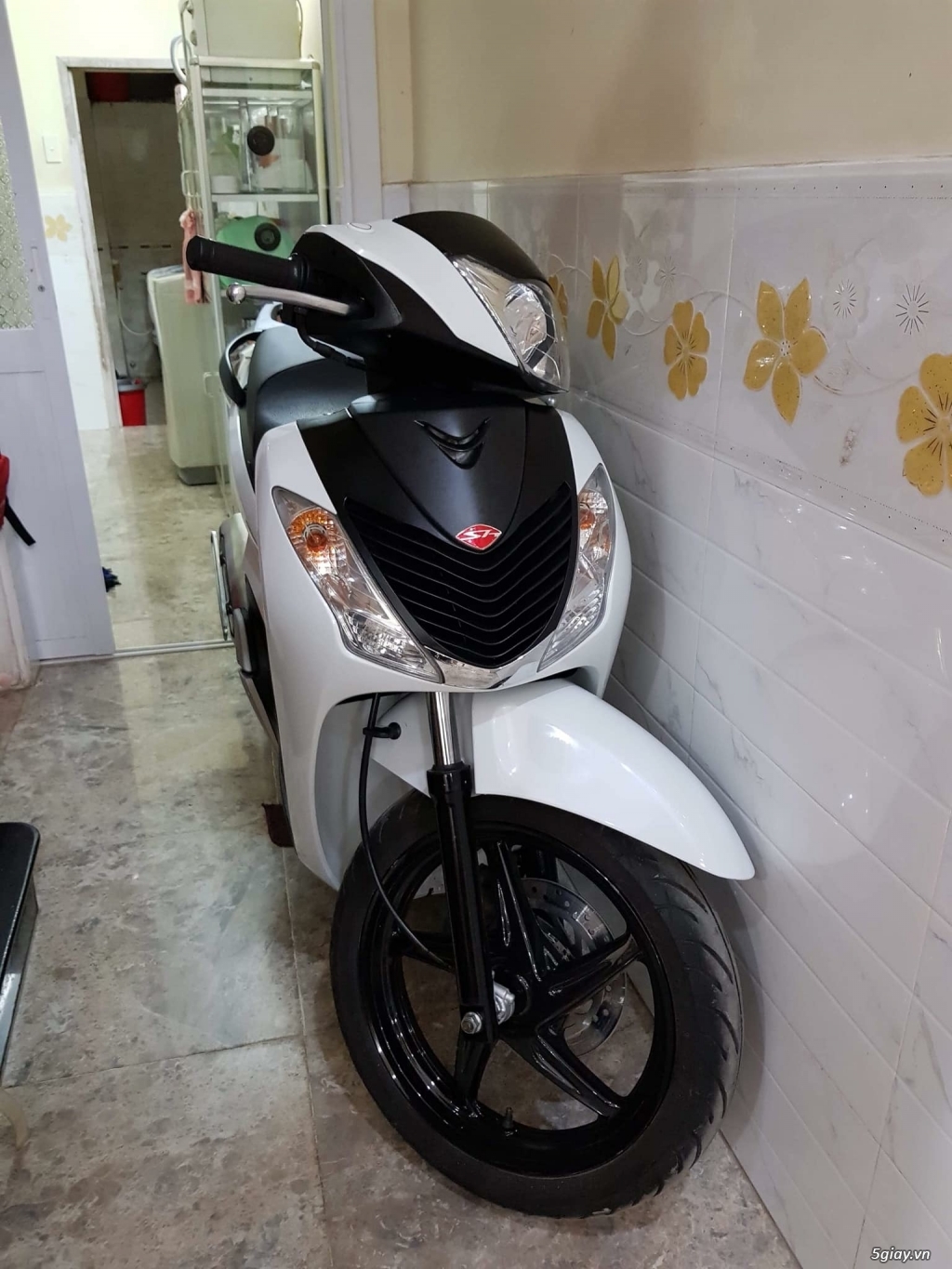 Sh125 Sporty