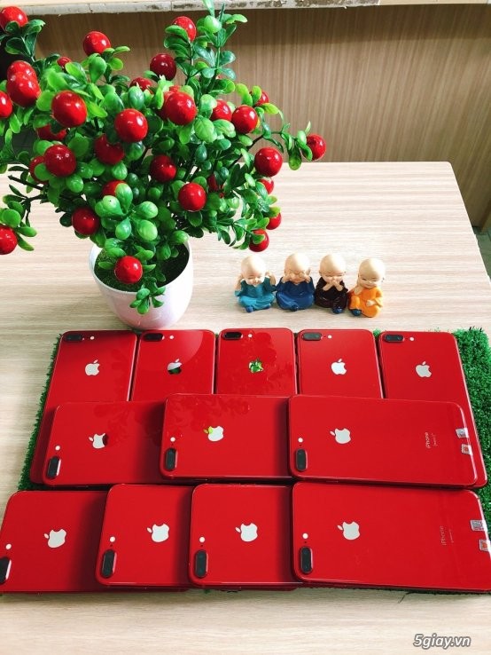 5giay.vn-Bảng giá sỉ iPhone, iPad. Thay pin 19K, thay vỏ 49K,  Thay mặt kính: 99K... - 2