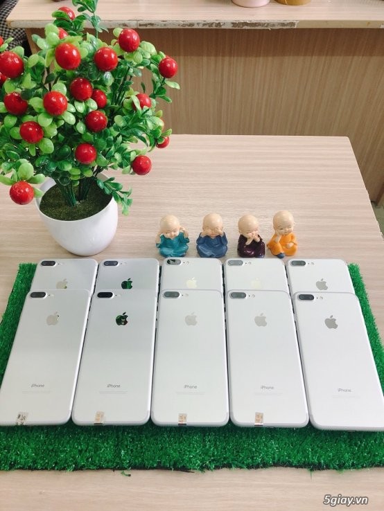5giay.vn-Bảng giá sỉ iPhone, iPad. Thay pin 19K, thay vỏ 49K,  Thay mặt kính: 99K...