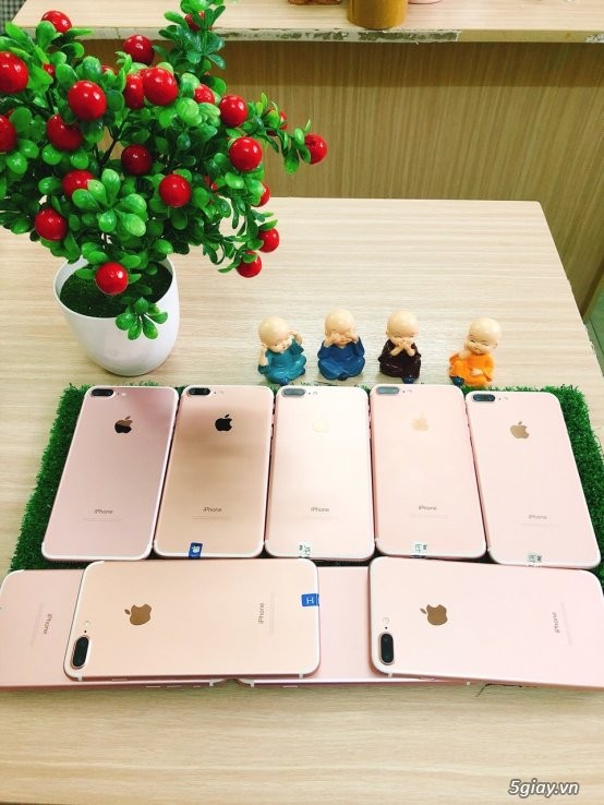5giay.vn-Bảng giá sỉ iPhone, iPad. Thay pin 19K, thay vỏ 49K,  Thay mặt kính: 99K... - 1