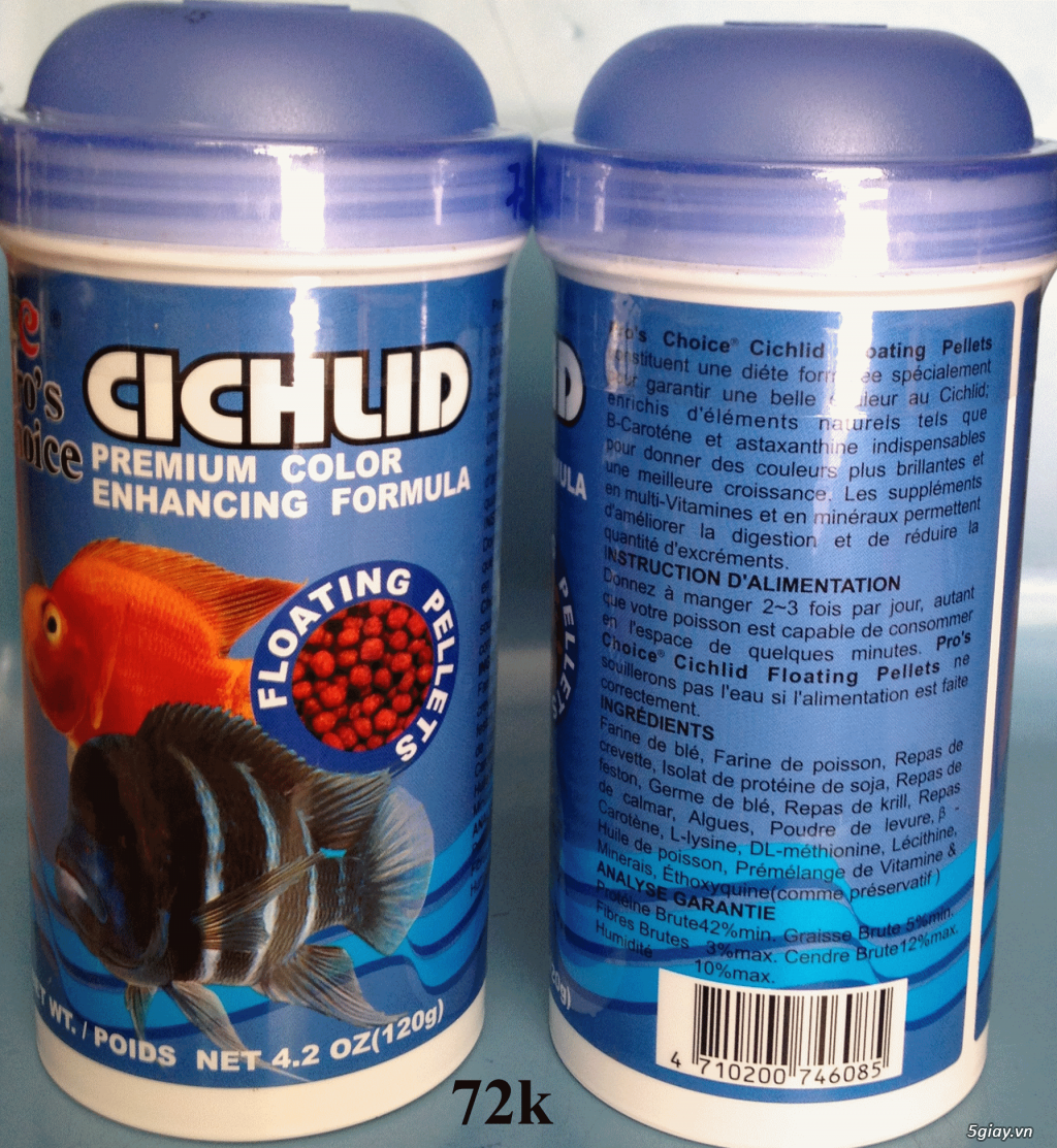 Cá cảnh (cánh bườm, chuột thái, thần tiên...) và phụ kiện - 3