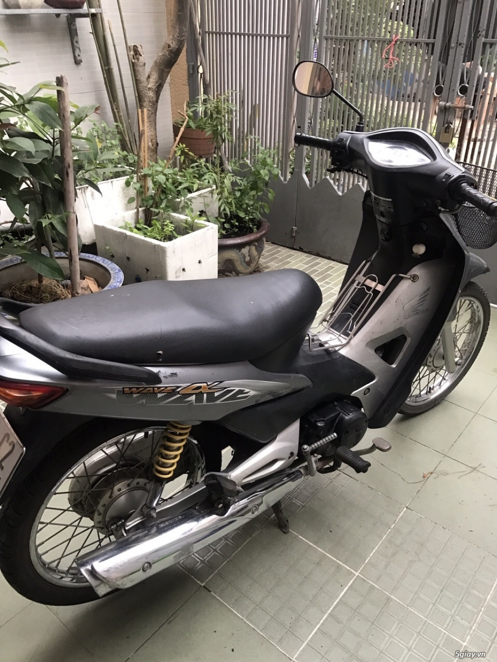 Honda wave@ cuối 2015 - 3