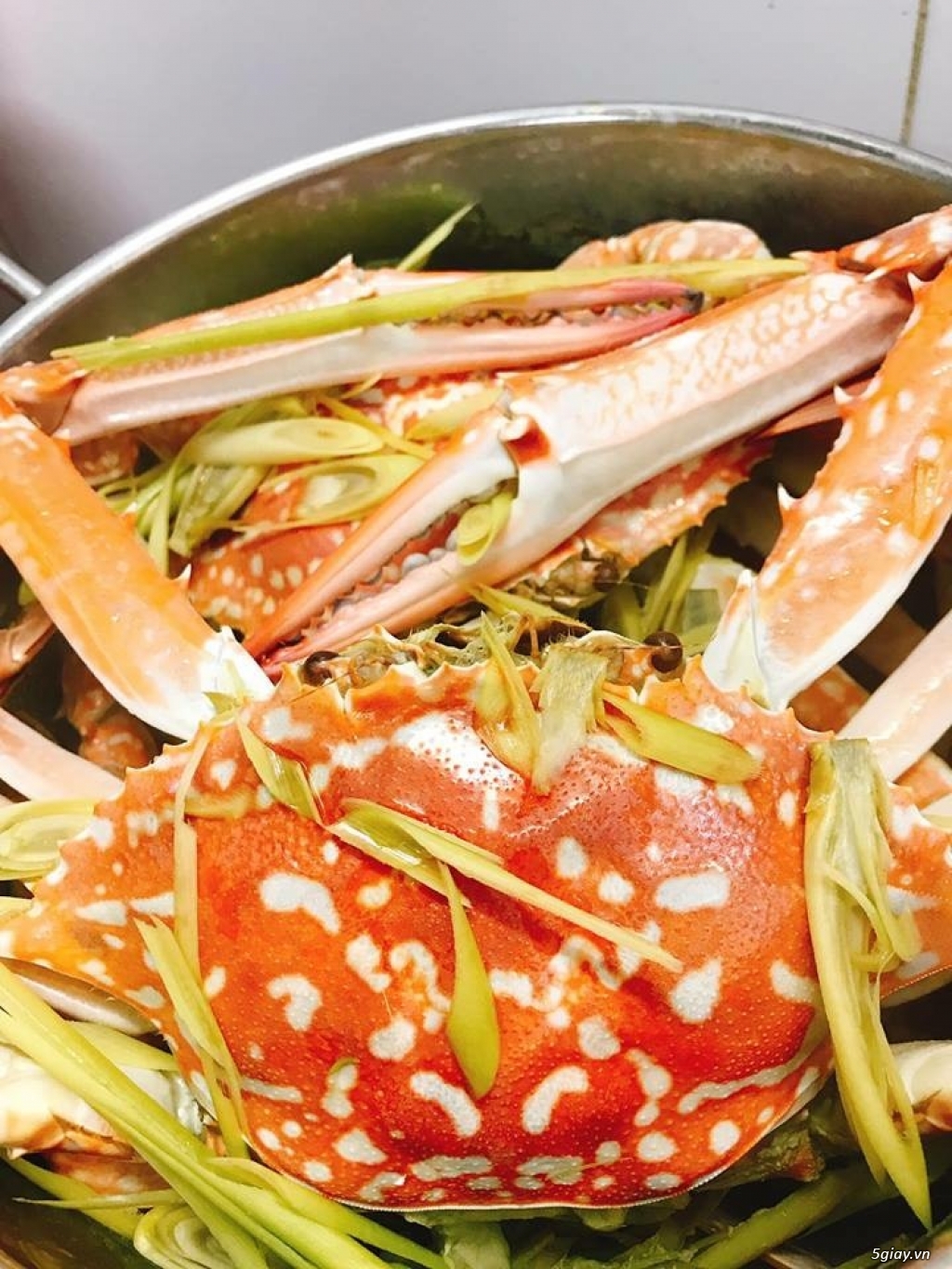 Ghẹ Sống LaGi - Cung cấp Sỉ Lẻ ghẹ tại SG - Nhận chế biến và giao tận nơi