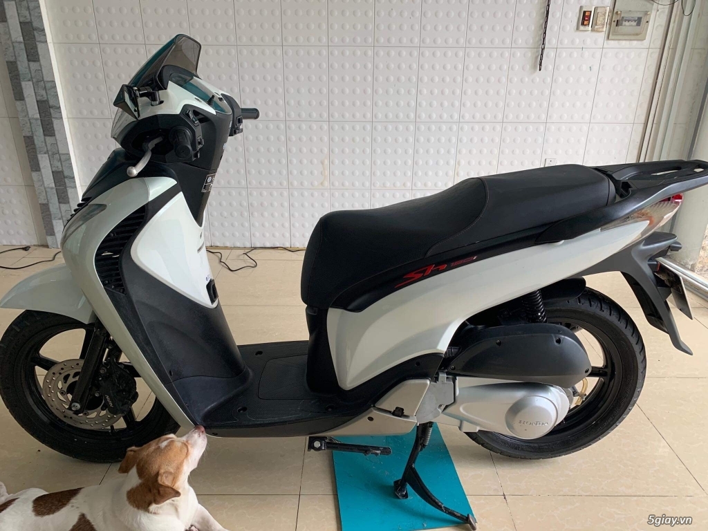 Sh150i nhập Ý 2011 - 1