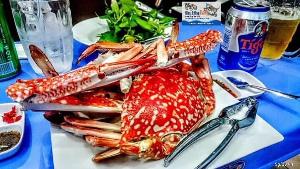 Ghẹ Sống LaGi - Cung cấp Sỉ Lẻ ghẹ tại SG - Nhận chế biến và giao tận nơi