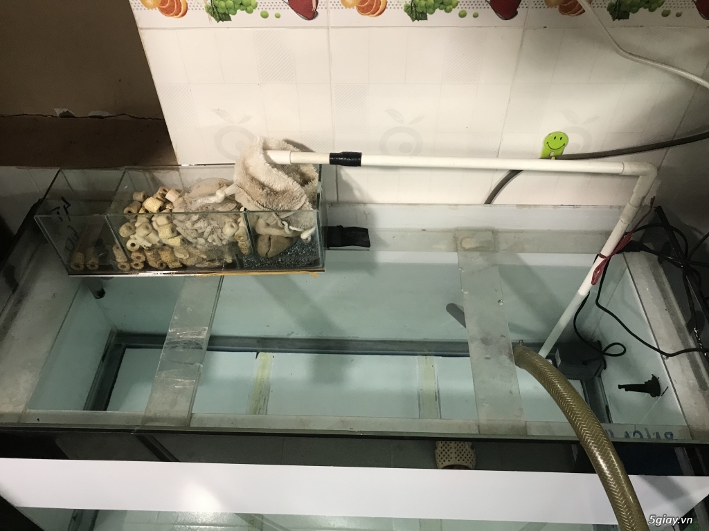 Đồng hồ G-Shock Winner - 1